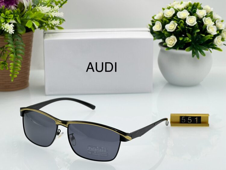 Audi Polarize Sunglasses Men